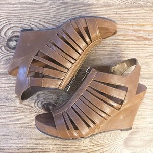 Aerosols Wedges